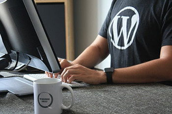 WordPress Developer Jobs